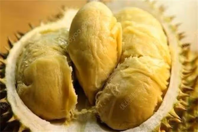 吃完榴槤千萬別碰哪5種食物?榴槤和什麼食物相剋?