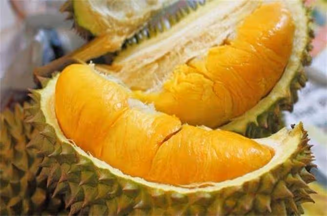 吃完榴槤千萬別碰哪5種食物?榴槤和什麼食物相剋?