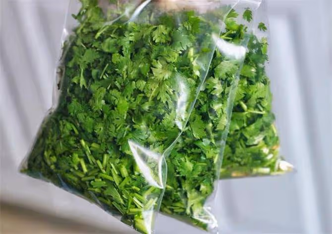 香菜放冰箱保存就錯了,飯店大廚教你一招,放多久都新鮮,真實用