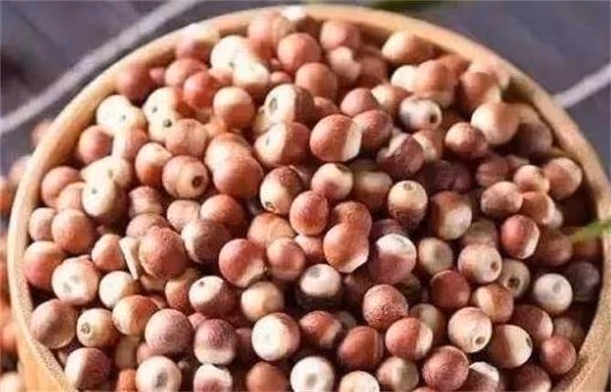 雞頭米是什麼東西?為什麼芡實又叫雞頭米?常吃有什麼好處?