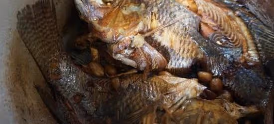 夏天，吃甲魚鯽魚都不如吃它，5塊錢一斤，蛋白質卻是牛奶的7倍