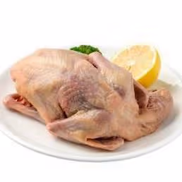 一鴿勝九雞，但鴿子肉再好，哪些人一口都不能多吃後果嚴重？