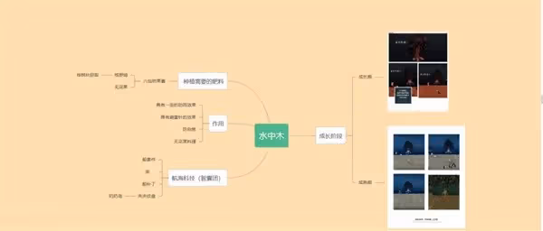 《饑荒》水中木種植方法