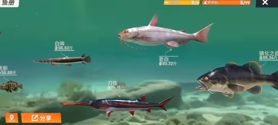 《歡樂釣魚大師》魚類全圖鑑