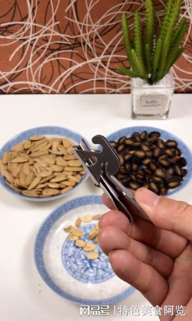 我國哪裡產的西瓜子最好?中國十大西瓜子產地,你的家鄉上榜了嗎