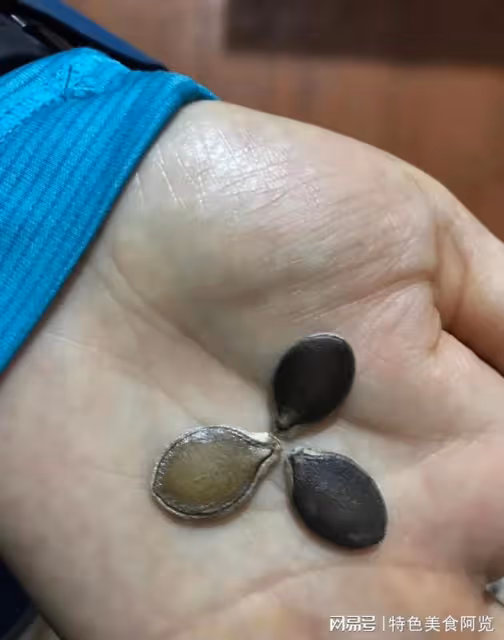 我國哪裡產的西瓜子最好?中國十大西瓜子產地,你的家鄉上榜了嗎