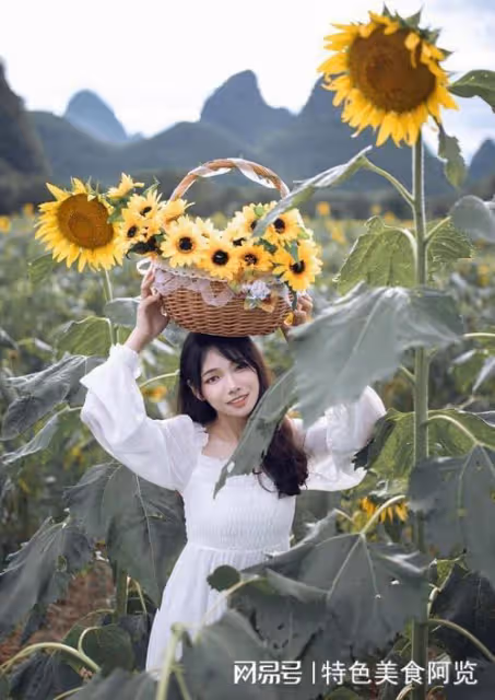 我國哪裡的瓜子最出名？中國十大葵花籽產地排行 哪裡產的品質好