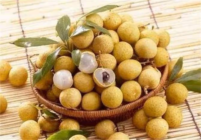 龍眼和桂圓是一種水果嗎?為什麼龍眼又叫桂圓?