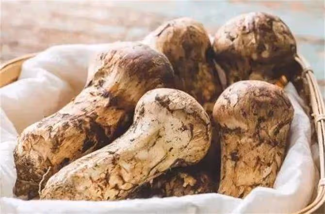 松茸保存是冷藏還是冷凍?松茸冷凍最多能保存多久?