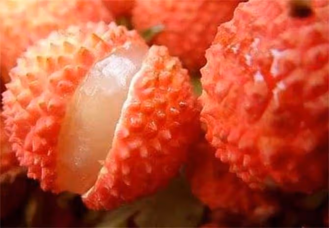 女人補血可以吃哪些水果?盤點補血10大水果,都是補血的「法寶」