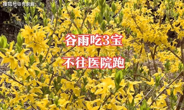 4月19日穀雨,老人說「穀雨吃3寶,不往醫院跑」,這3寶指啥?