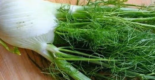 想把B肝連根拔起,以下幾種植物是「轉陰」利器,比吃藥管用