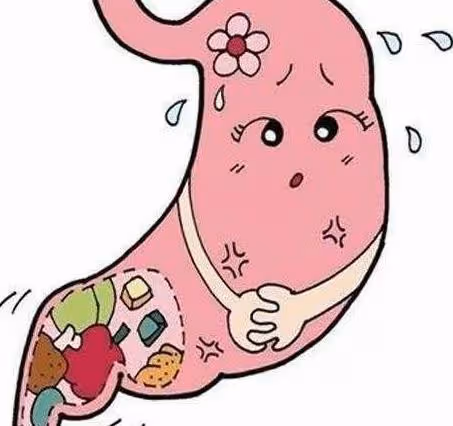 胃病的「天敵」終於找到了，每天吃一點，修復胃黏膜，養胃又護胃