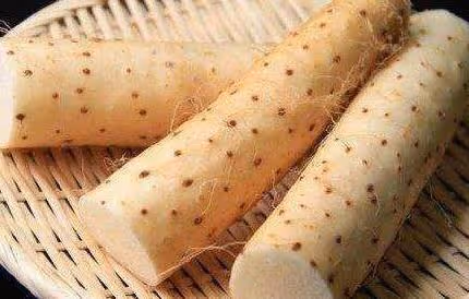 胃病的「天敵」終於找到了，每天吃一點，修復胃黏膜，養胃又護胃