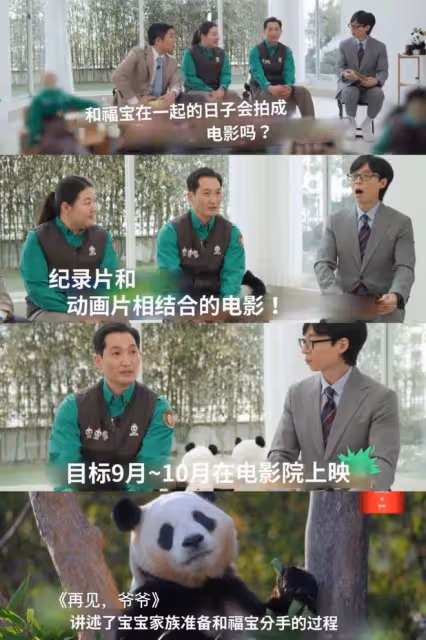 韓國為大熊貓福寶拍攝電影《再見,爺爺》,引髮網友們不滿