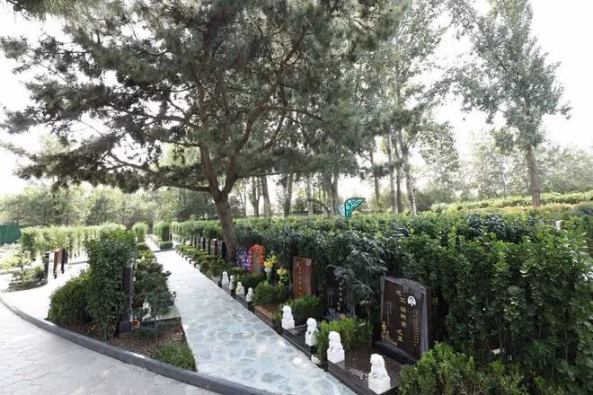 周海媚墓地選定，和於月仙安葬在同一片墓地，墓位相隔不遠