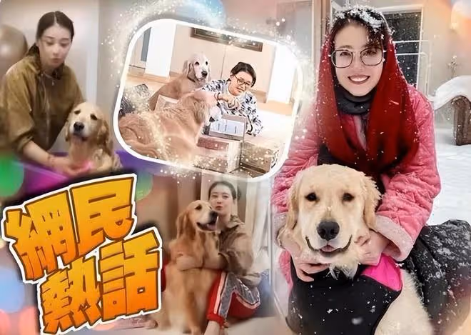 周海媚墓地選定，和於月仙安葬在同一片墓地，墓位相隔不遠