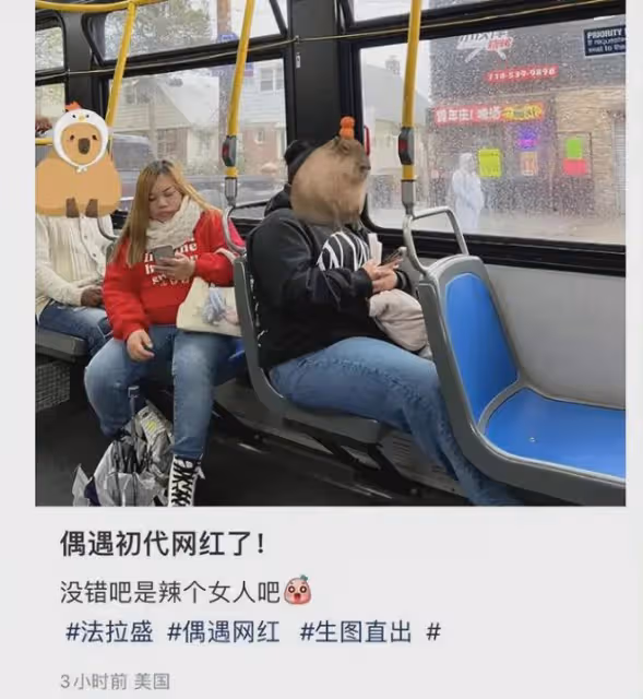 網紅鳳姐美國被偶遇,坐公交車生活節儉,十分臃腫體重近200斤