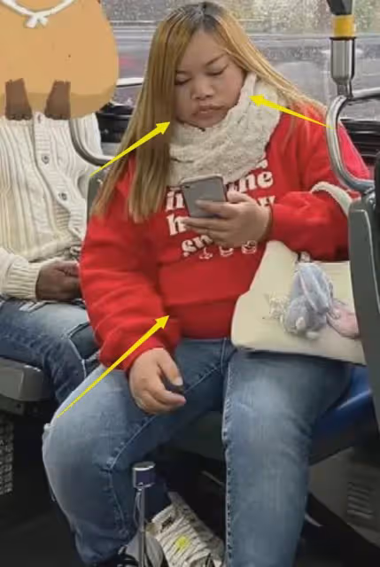 網紅鳳姐美國被偶遇,坐公交車生活節儉,十分臃腫體重近200斤