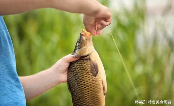 打窩後釣魚的黃金時機揭秘！聰明釣友必讀！