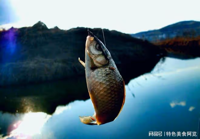 晚上野釣攻略揭秘!釣邊還是釣中間,究竟怎麼選?