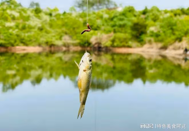 晚上野釣攻略揭秘!釣邊還是釣中間,究竟怎麼選?