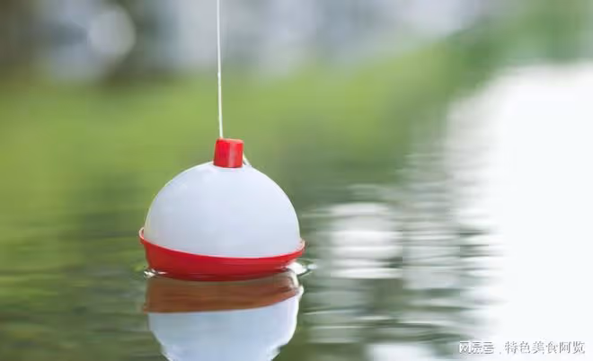 玩轉野釣必備!用什麼浮漂才是明智之選?