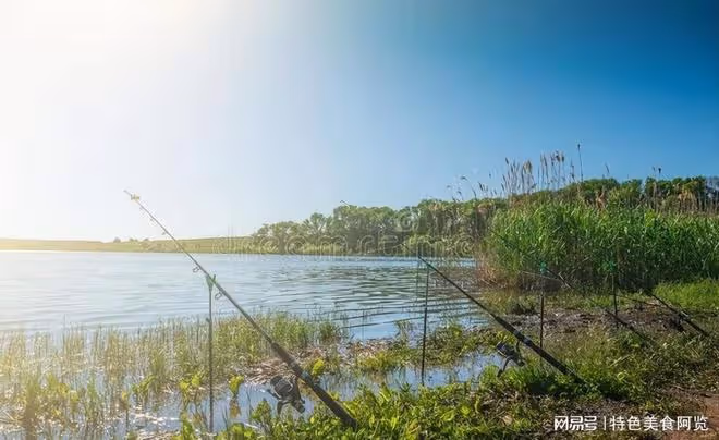 新手入門釣魚魚竿選擇指南，讓你迅速成為釣魚高手