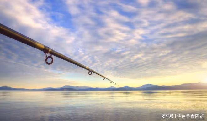 新手入門釣魚魚竿選擇指南，讓你迅速成為釣魚高手
