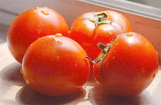 西紅柿到底能不能冷凍?吃不完的西紅柿正確保存方法
