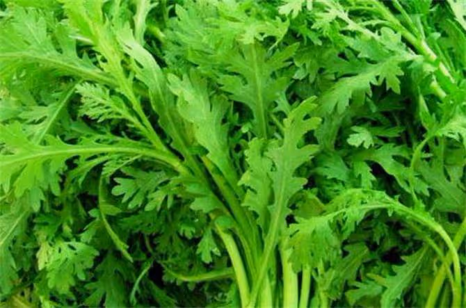 含鐵量第一名的蔬菜,要經常吃,建議大家收藏起來