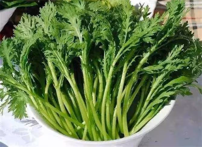 含鐵量第一名的蔬菜,要經常吃,建議大家收藏起來