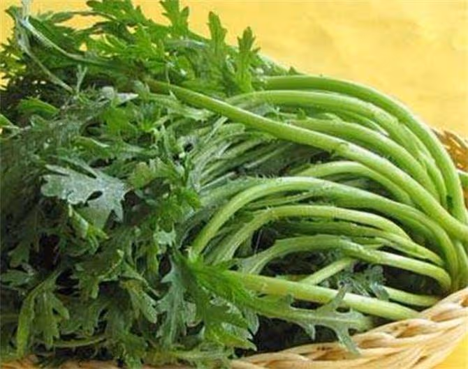 含鐵量第一名的蔬菜,要經常吃,建議大家收藏起來
