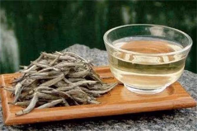 白茶是綠茶還是紅茶?白茶是什麼茶?茶樹品種和製作工藝別搞混了