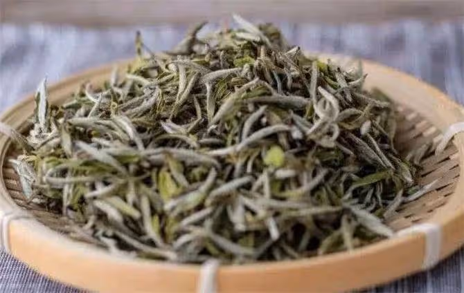 白茶是綠茶還是紅茶?白茶是什麼茶?茶樹品種和製作工藝別搞混了