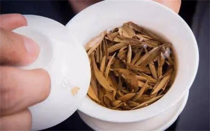 白茶是綠茶還是紅茶?白茶是什麼茶?茶樹品種和製作工藝別搞混了