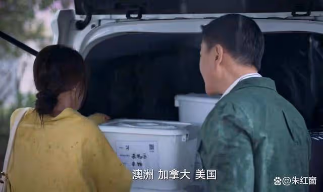 《城中之城》結局看似圓滿,實則留下3大遺憾,蘇見仁結局讓人失望