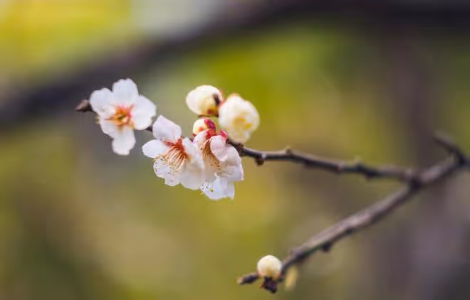 一個人，最了不起的能力：穩、學、思