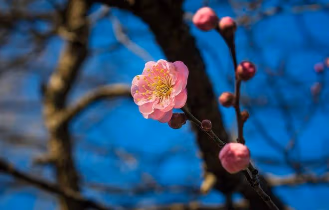 一個人，最了不起的能力：穩、學、思