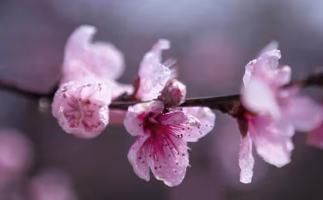 一個人，最了不起的能力：穩、學、思
