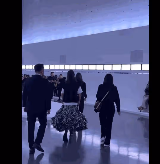 上海這一夜:「乾乾癟癟」不叫美,珠圓玉潤才更有韻味