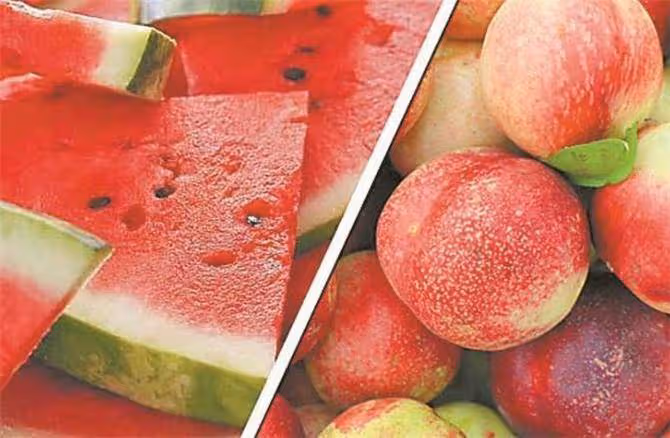 西瓜和桃子能一起吃嗎?桃子和西瓜一起吃會中毒?這是真的嗎?