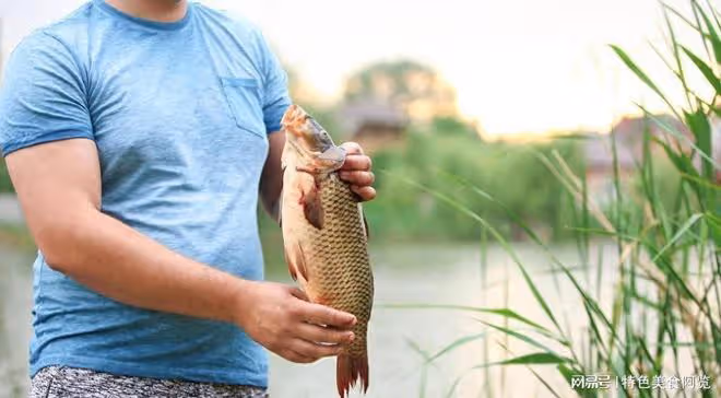 野釣打窩技巧:打造完美窩點,讓魚兒自投羅網