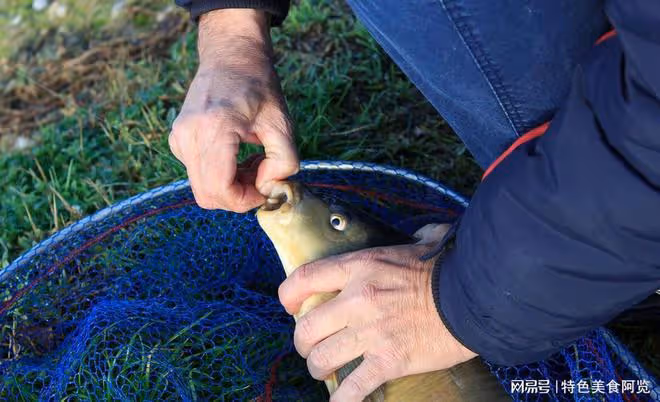 野釣打窩技巧:打造完美窩點,讓魚兒自投羅網