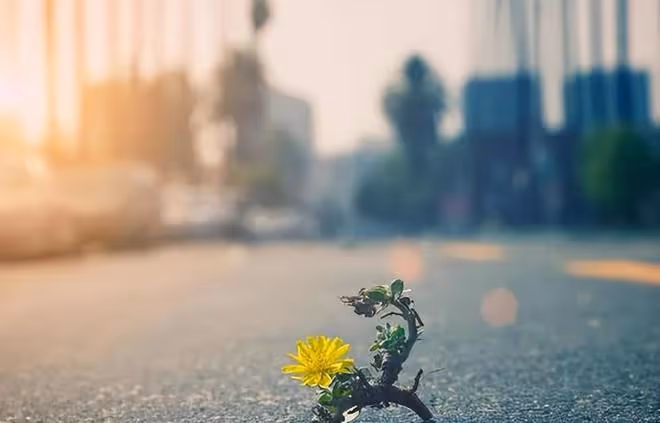 給女人的8條人生忠告，花錢也買不到，看懂少走彎路
