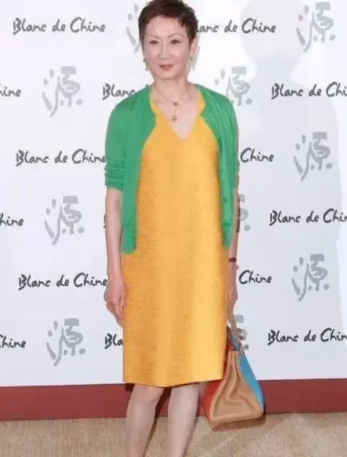 73歲徐克前妻優雅風采,長裙限量包彰顯貴婦氣質!