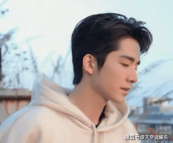 張新成為什麼不火?有演技又有顏值為何不能爆紅
