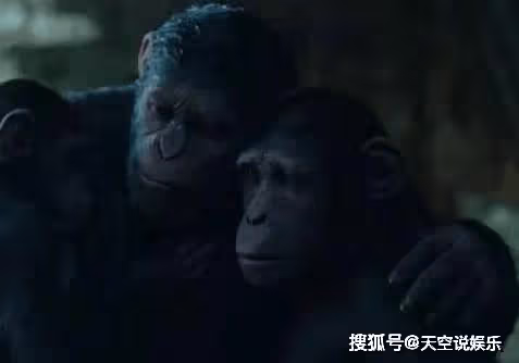 《猩球崛起》第一部的男主角後來怎麼沒出現了？《猩球崛起》凱撒有幾個兒子？