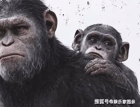 《猩球崛起》凱撒死了沒有？《猩球崛起4》諾亞是凱撒的後代嗎？