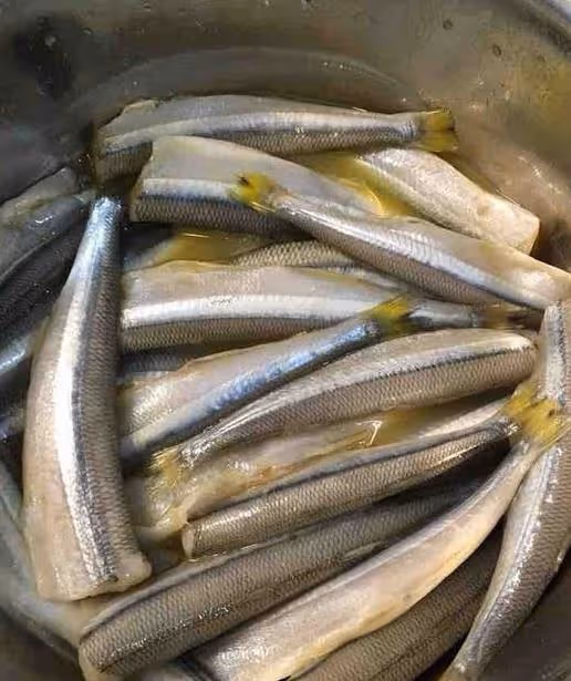 這魚再貴都要給孩子吃,鈣含量極高,常吃長大個,美味又下飯